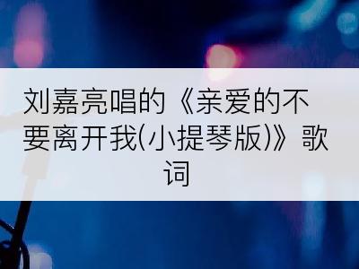 刘嘉亮唱的《亲爱的不要离开我(小提琴版)》歌词