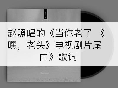 赵照唱的《当你老了 《嘿，老头》电视剧片尾曲》歌词