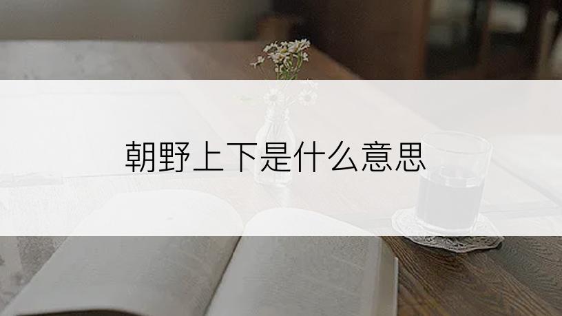 朝野上下是什么意思
