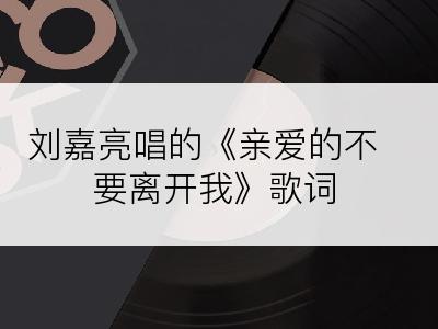 刘嘉亮唱的《亲爱的不要离开我》歌词