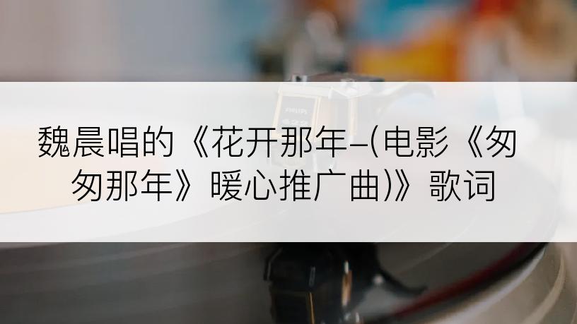 魏晨唱的《花开那年-(电影《匆匆那年》暖心推广曲)》歌词