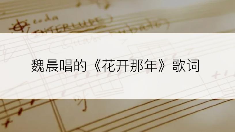 魏晨唱的《花开那年》歌词