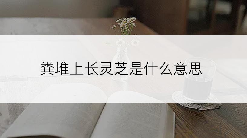 粪堆上长灵芝是什么意思
