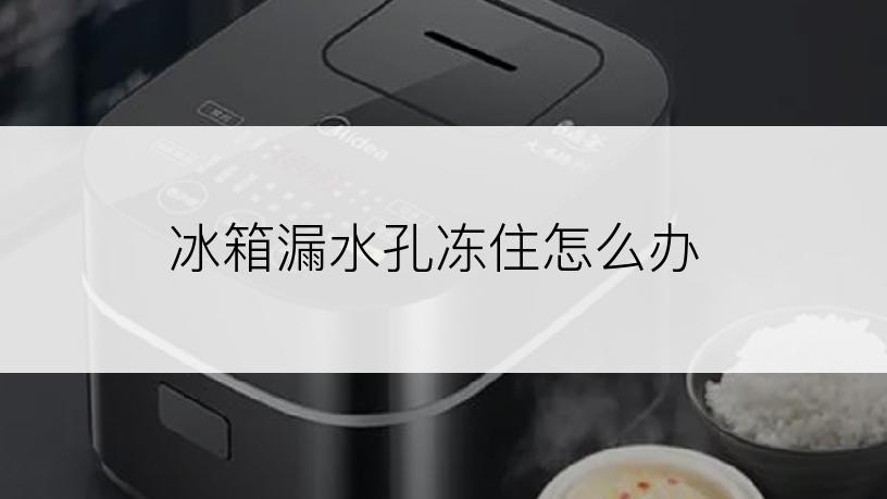 冰箱漏水孔冻住怎么办