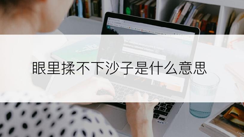眼里揉不下沙子是什么意思
