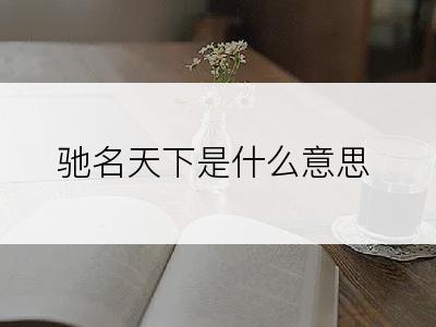 驰名天下是什么意思
