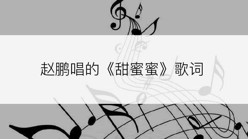 赵鹏唱的《甜蜜蜜》歌词