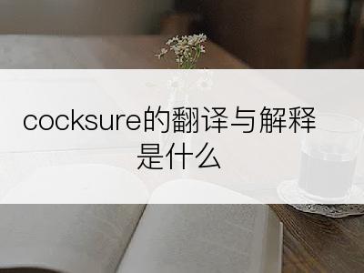 cocksure的翻译与解释是什么