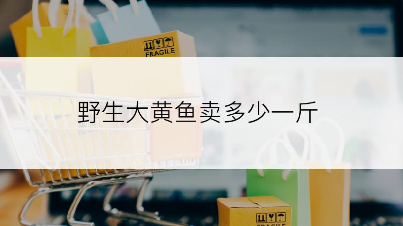 野生大黄鱼卖多少一斤