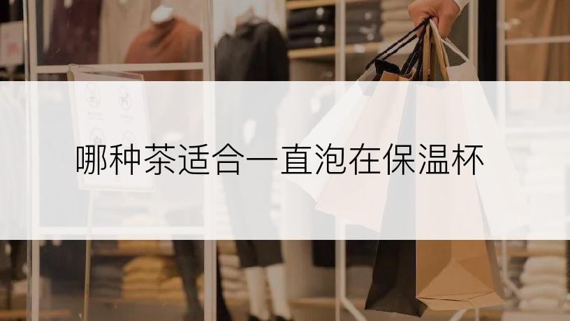哪种茶适合一直泡在保温杯