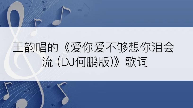 王韵唱的《爱你爱不够想你泪会流 (DJ何鹏版)》歌词