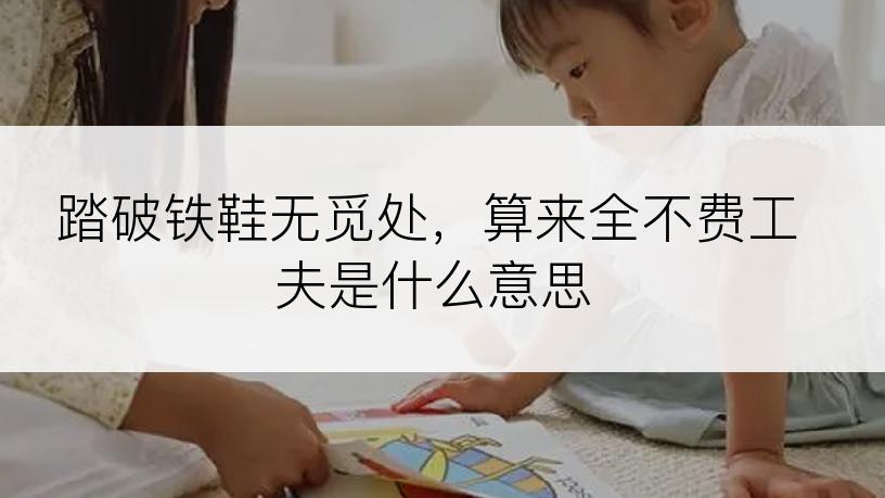 踏破铁鞋无觅处，算来全不费工夫是什么意思