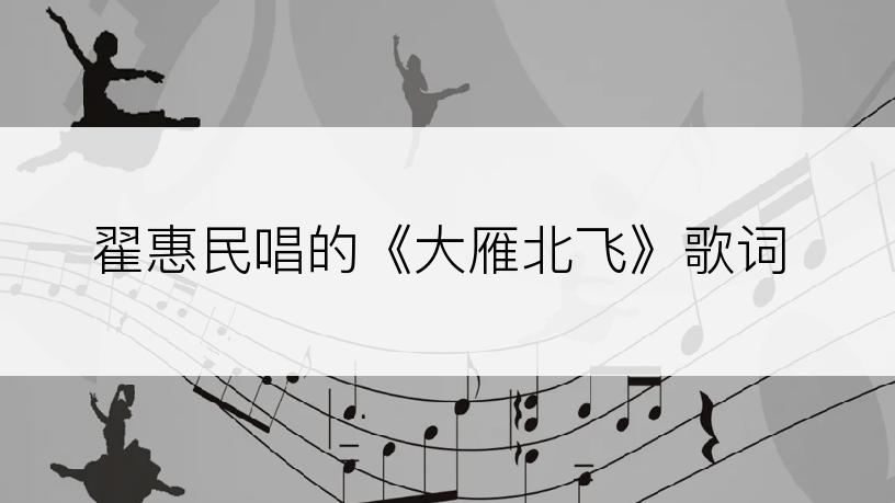 翟惠民唱的《大雁北飞》歌词