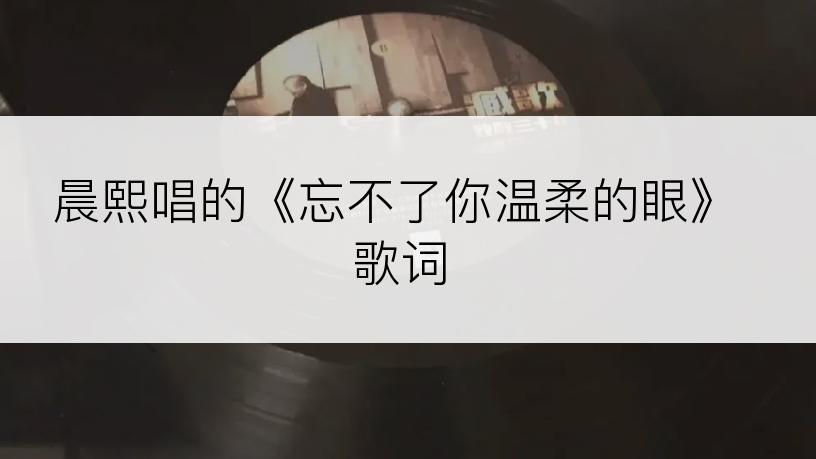 晨熙唱的《忘不了你温柔的眼》歌词