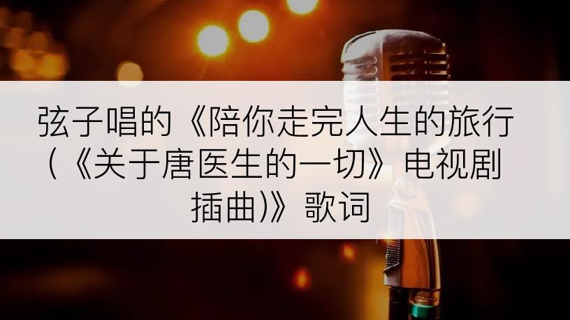 弦子唱的《陪你走完人生的旅行 (《关于唐医生的一切》电视剧插曲)》歌词