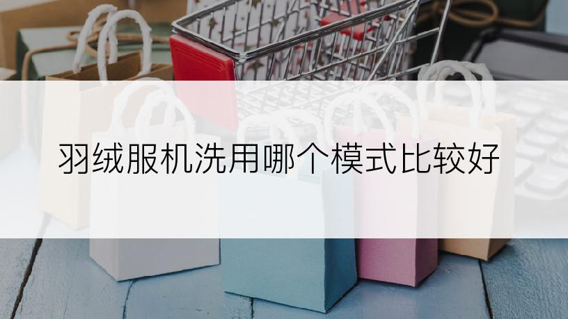 羽绒服机洗用哪个模式比较好