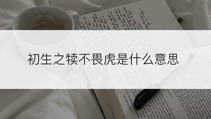 初生之犊不畏虎是什么意思