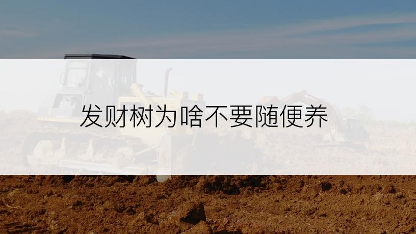 发财树为啥不要随便养