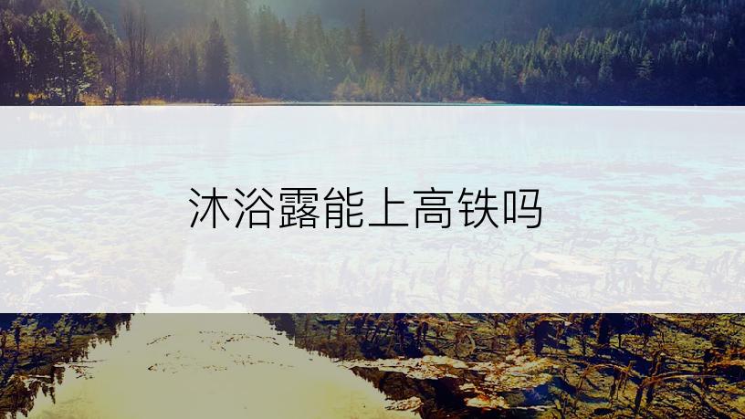 沐浴露能上高铁吗