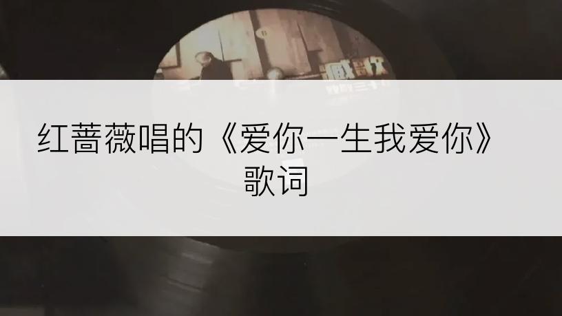 红蔷薇唱的《爱你一生我爱你》歌词