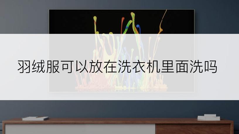 羽绒服可以放在洗衣机里面洗吗