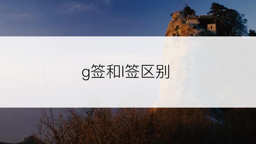 g签和l签区别