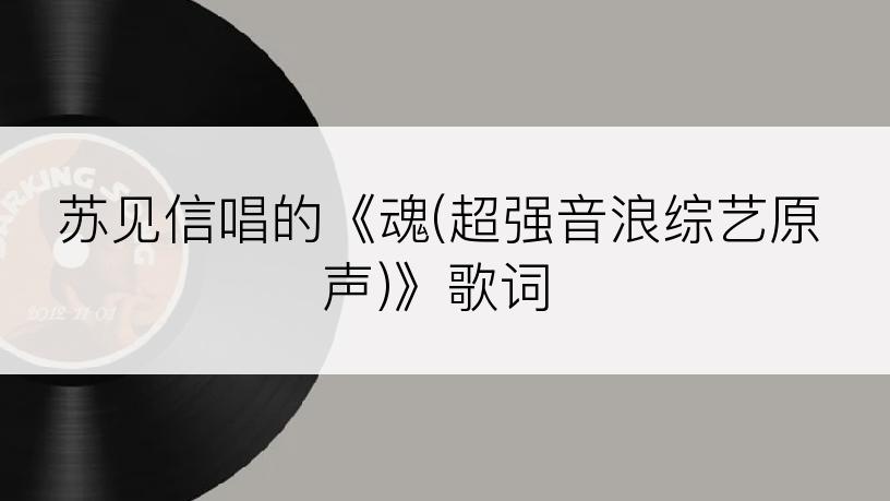 苏见信唱的《魂(超强音浪综艺原声)》歌词