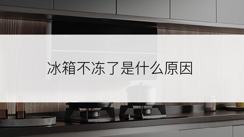 冰箱不冻了是什么原因