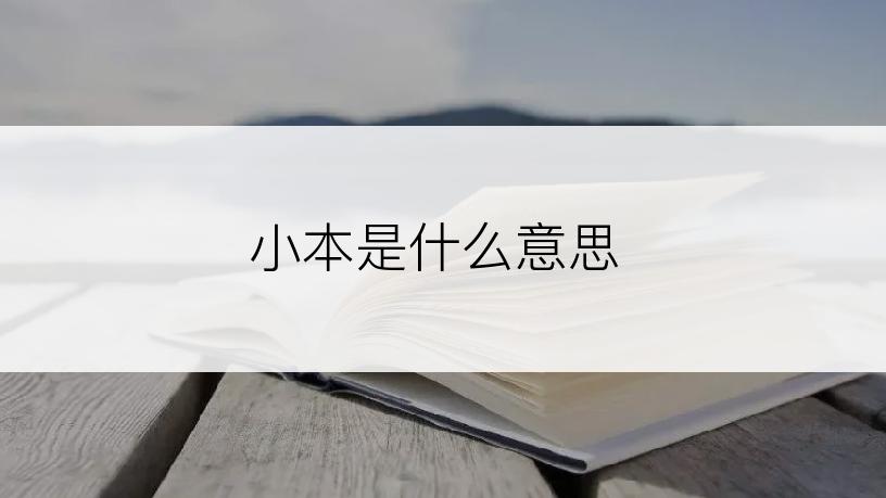 小本是什么意思