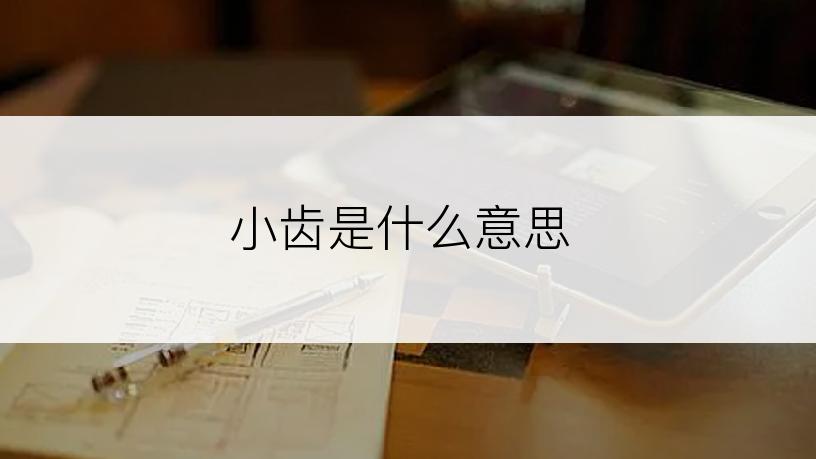小齿是什么意思