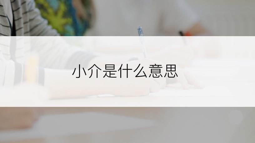 小介是什么意思