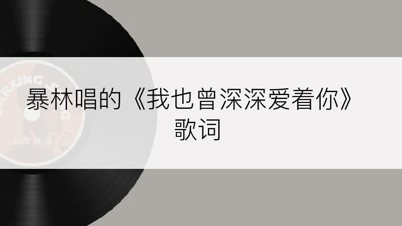 暴林唱的《我也曾深深爱着你》歌词