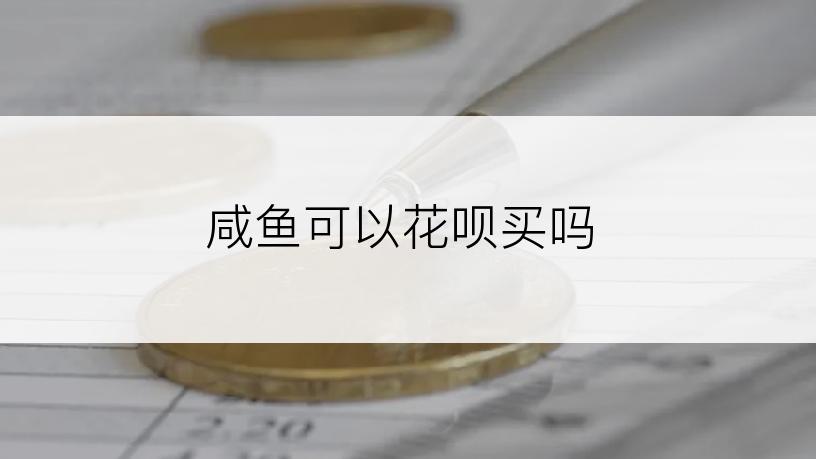 咸鱼可以花呗买吗