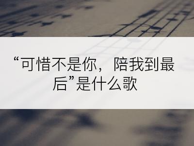 “可惜不是你，陪我到最后”是什么歌