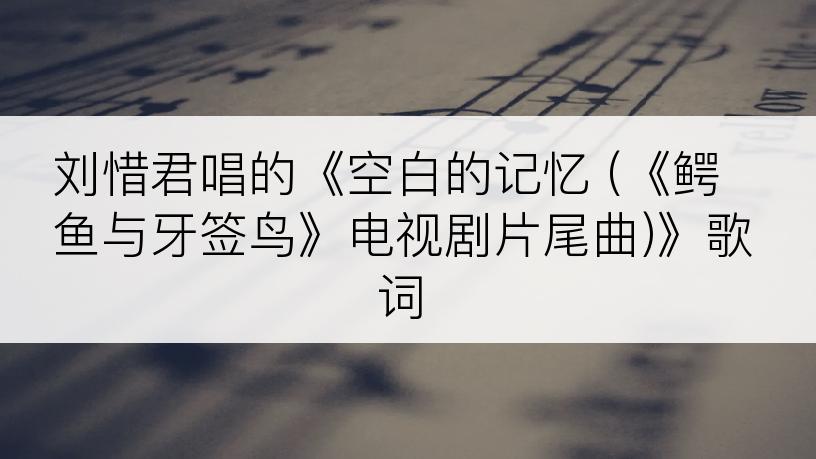 刘惜君唱的《空白的记忆 (《鳄鱼与牙签鸟》电视剧片尾曲)》歌词