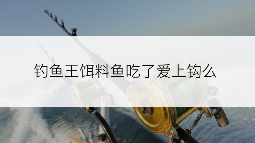 钓鱼王饵料鱼吃了爱上钩么