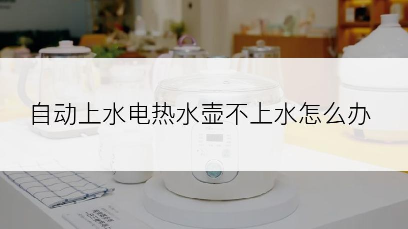 自动上水电热水壶不上水怎么办