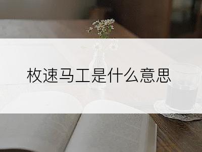 枚速马工是什么意思