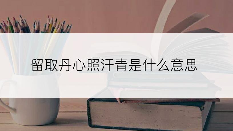 留取丹心照汗青是什么意思