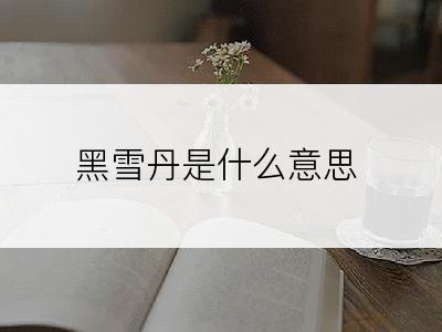 黑雪丹是什么意思