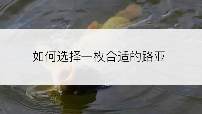 如何选择一枚合适的路亚