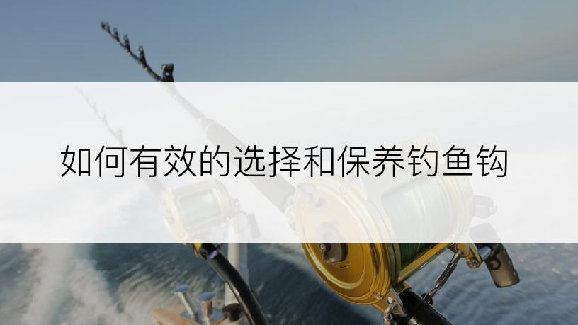 如何有效的选择和保养钓鱼钩