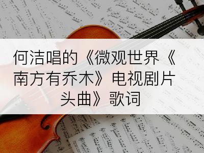 何洁唱的《微观世界《南方有乔木》电视剧片头曲》歌词