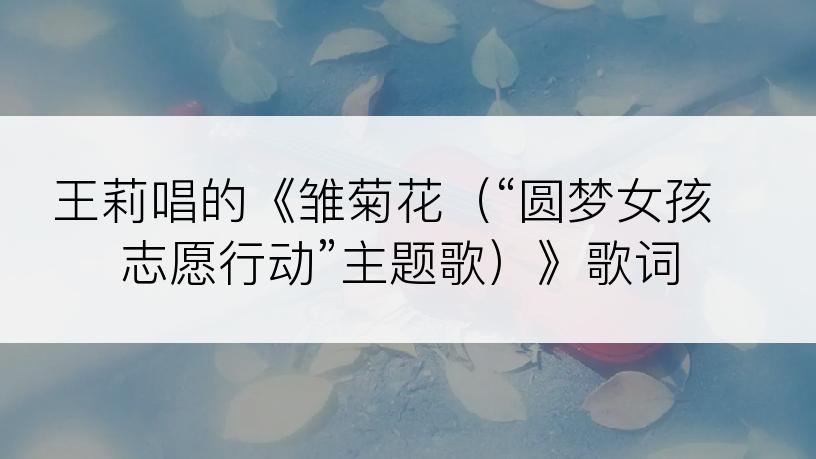 王莉唱的《雏菊花（“圆梦女孩志愿行动”主题歌）》歌词