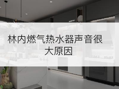 林内燃气热水器声音很大原因