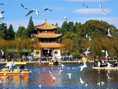 昆明有什么值得去的地方