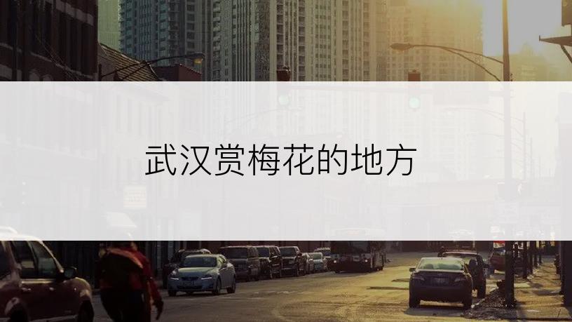 武汉赏梅花的地方