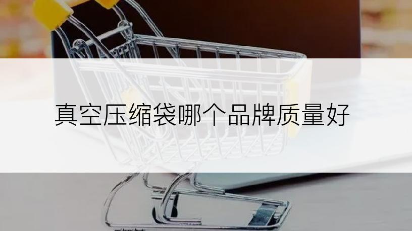 真空压缩袋哪个品牌质量好