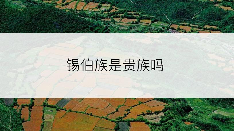 锡伯族是贵族吗