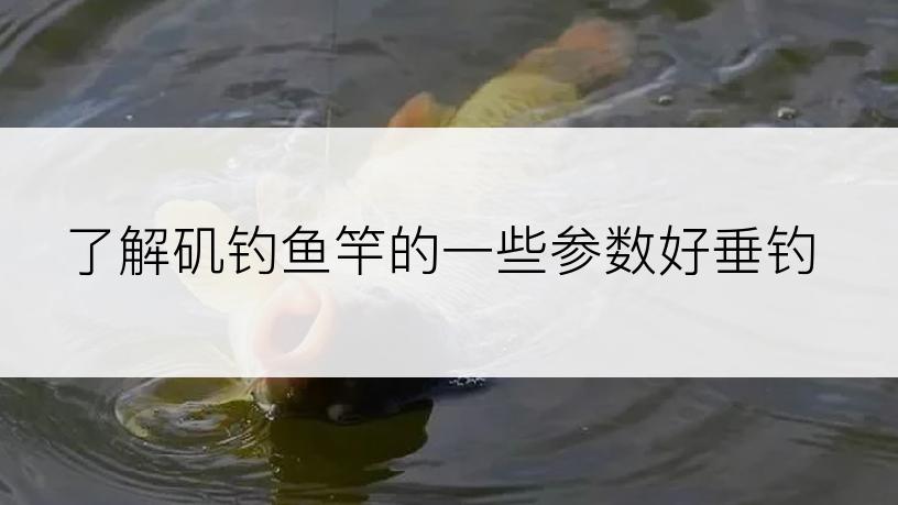 了解矶钓鱼竿的一些参数好垂钓
